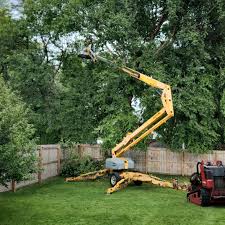 Lawn Renovation and Restoration in Manchester, NH