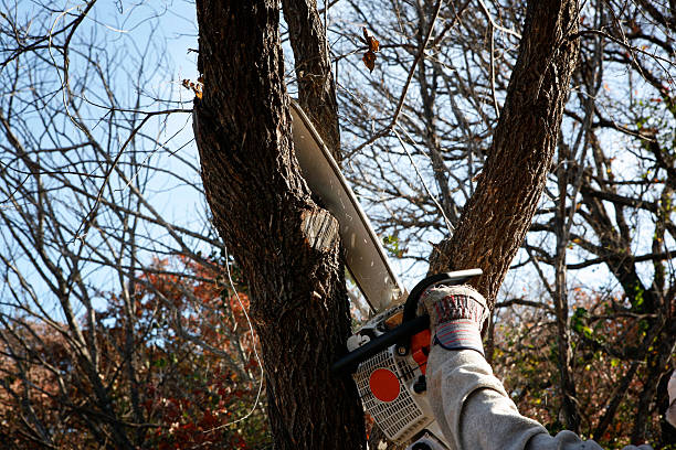 Seasonal Cleanup (Spring/Fall) in Manchester, NH